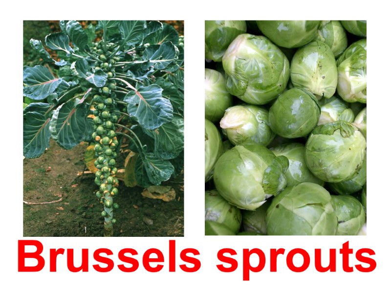 Brussels sprouts